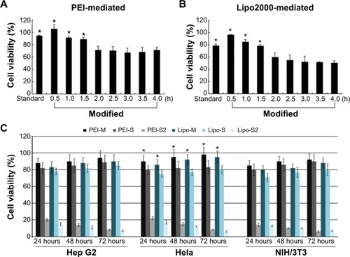 Figure 4 Cell viability assay in different transfection cases. (A) and (B) The influence of incubation time on cell viability in polyethyleneimine (PEI)- (A) and Lipofectamine™ 2000 (Lipo2000)-mediated (B) transfection cases. Cell line: Hep G2. Plate: 24-well format. Time: 48 hours after transfection. Standard: standard transfection. Modified: modified transfection (300 μL/well transfection complex and 1.5 hours’ incubation). 0.5–4.0 hours: different incubation time in modified transfection cases with 300 μL/well transfection complex (P<0.05 vs others). (C) Comparison of the cell viability in different transfection methods. PEI- and Lipo-M: PEI- and Lipo2000-modified transfection; PEI- and Lipo-S: PEI and Lipo2000 standard transfection; PEI- and Lipo-S2: PEI and Lipo2000 standard transfection with increased complex concentration. 24, 48, and 72 hours: cell viability was analyzed 24, 48, and 72 hours after transfection (P<0.05 vs standard transfection).