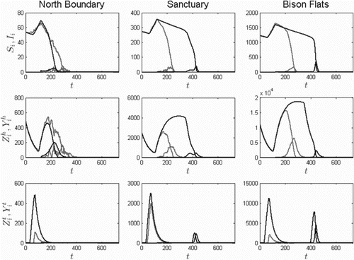 Figure 8. Two-year solution curves for three patches (north to south from left to right, i=11, 7, and 2, respectively) for the two-flea species model and α2=1 (no blocked O. hirsuta), based on the ODE model (dark) and one sample path of the SDE model (light) for the initial conditions given in Equation (Equation13Ii(0)=0,Yih(0)=0,Yit(0)=0,i=1,…,11,Ni(0)=5Ai,Nih(0)=0.675Ni(0),Nit(0)=0.0005Ni(0),i=1,…,11,). As in Figure 7, two infectious prairie dogs are introduced into North Boundary at time 120 days: I11(120)=2. The models predict a much faster spread of plague with both species included.