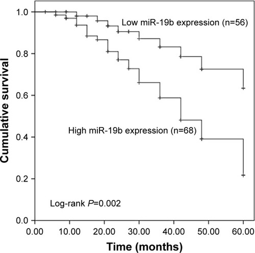 Figure 2 Kaplan–Meier survival analysis of breast cancer patients based on the expression of miR-19b.