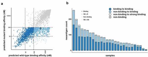 Figure 1. Neoantigen landscape of tumor cells from malignant mesothelioma pleural effusions. (a) Neoantigens were predicted for each patient based on their specific HLA type. Overview of the 2236 predicted neoantigens that were observed to bind to MHC class I highlighted by their binding change from the wild-type to the mutant state. (b) Predicted neoantigens identified in each sample colored by their binding change from the wild-type to the mutant state