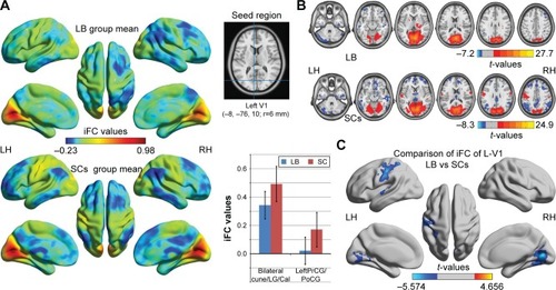 Figure 1 Significant zFC maps of left V1 differences between two groups.