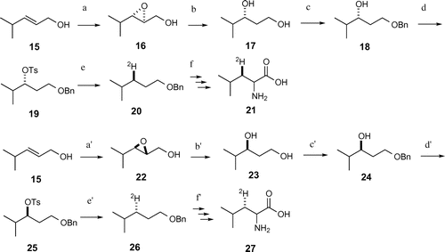 Fig. 4. Synthesis of (3R)- and (3S)-[3-2H]leucine.
