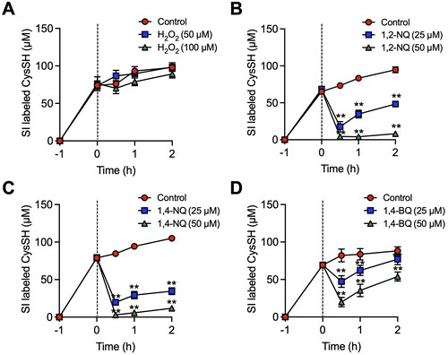 Figure 2. Alteration of extracellular cysteine (CysSH) content after exposure to stable isotope-labeled cystine in HepG2 cells. (A). Cells were pre-incubated with stable isotope-labeled cystine (100 µM) in Hank’s balanced salt solution (HBSS) for 1 h and then exposed to H2O2 (50 or 100 µM) for 0.5, 1 or 2 h. (B). Cells were pre-incubated with stable isotope-labeled cystine (100 µM) in HBSS for 1 h and then exposed to 1,2-naphthoquinone (1,2-NQ, 50 or 100 µM) for 0.5, 1 or 2 h. (C). Cells were pre-incubated with stable isotope-labeled cystine (100 µM) in HBSS for 1 h and then exposed to 1,4-NQ (50 or 100 µM) for 0.5, 1 or 2 h. (D). Cells were pre-incubated with stable isotope-labeled cystine (100 µM) in HBSS for 1 h and then exposed to 1,4-benzoquinone (1,4-BQ, 50 or 100 µM) for 0.5, 1 or 2 h. The conditioned medium was collected and reacted with 5 mM β-(4-hydroxyphenyl)ethyl iodoacetamide for 30 min at 37 °C, followed by liquid chromatography-ESI-tandem mass spectrometry analysis as described in the Methods section. **p < 0.01 compared with control.