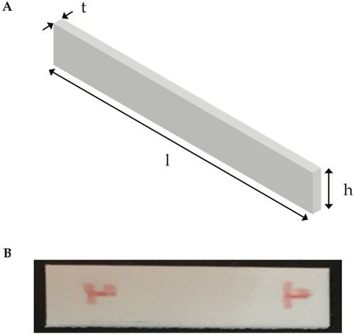 Figure 2. 3D-printed rectangular ABS sample shape and dimensions based on ASTM D790 standard for use in bending/flexural tests. (A) 3D-CAD model showing all the dimensions in mm. h: 12.50, l: 90.00, and t: 3.00. (B) 3D-printed ABS sample.