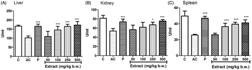 Figure 4. Effect of MEFP on CAT levels in liver, kidney and spleen. The values are expressed as mean ± SD. p < 0.05 was considered significant with respect to arthritic control group (*p < 0.05; ***p < 0.001).