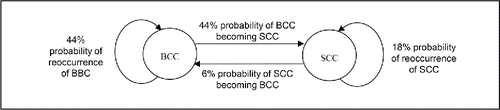 Figure 1. Three-year cumulative risk of reoccurrence of non-melanoma skin cancer based on Marcil et al.[Citation28] Notes: BCC: Basal Cell Carcinoma; SCC: Squamous Cell Carcinoma.