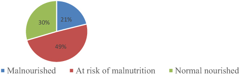 Figure 1 Nutritional status of the elderly population in Debre Berhan town, North Shewa, Ethiopia, 2020, n = 341.