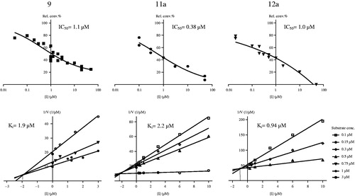 Figure 5. Concentration-dependent 17β-HSD1 inhibition (A) and Dixon’s kinetic analysis (B) of selected 13α-estrone compounds 9, 11a, 12a.