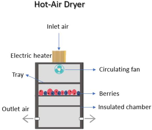 Figure 6. Schematic diagram of Conventional Air Drying – Oven drying. Adapted from (Kassem et al. Citation2011).