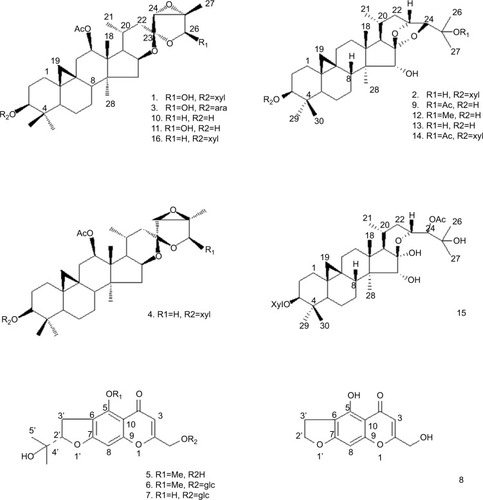Figure 1 Structures of compounds 1–16.Note: The structure of all compounds was tested using NMR spectral data analysis. Abbreviation: NMR, nuclear magnetic resonance.