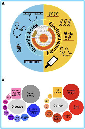 Figure 1. Schematic illustration of genosensors based on nucleic acids for detecting cancer, highlighting the significant tumor prevalence [Citation10].