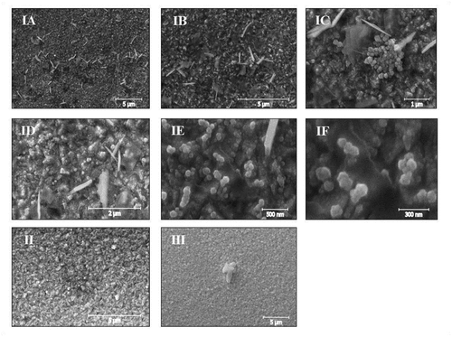 Figure 3. SEM micrographs of the ITO surface with Cu2O/poly (NVP-co-AI) nanocomposite, synthesized with the copolymer in proportion (1:1) and in concentration I: 0.1 % w/v, II: 0.5%w/v, III: 2.0%w/v (IA: Mag 10KX, IB: Mag 20KX, IC: Mag 50KX, ID: Mag 50KX)