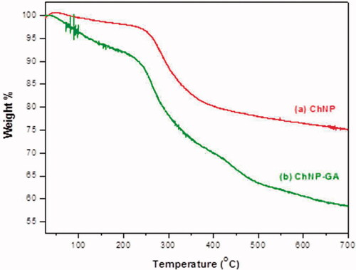 Figure 4. TGA curves of (a) ChNP and (b) ChNP-GA: In case of ChNP, a degradation temperature was found to be directly related to overall weight loss. The first weight loss was in between 100 °C and 240 °C in case of ChNP, whereas the major degradation was observed in the range 240–400 °C. The last range (temperature higher than 450 °C) was attributed to the thermal decomposition of pyranose ring and the destruction of the remaining carbon with weight loss. In case of ChNP-GA, there was an additional weight loss observed at after 400 °C, which referred to thermal degradation of glutaraldehyde.