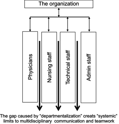 Figure 1 The Theory of the Division:Citation1 The departmentalized structure is responsible for dividing the organization, creating gaps in multidisciplinary communication and teamwork issues among physicians, nurses, and other care providers, leading to problems of safety, effectiveness, and efficiency in health care.