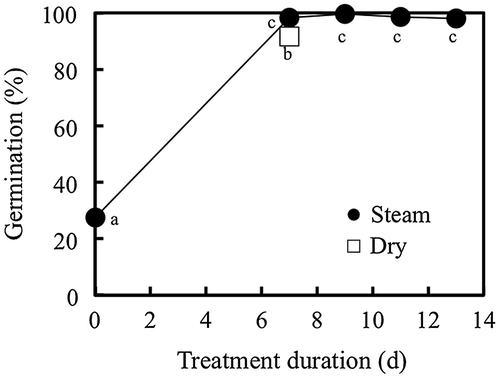 Figure 6. Germination percentage of highly dormant ‘Takanari’ seeds subjected to steam treatments using the steam cabinet at 40 °C for 7 to 13 d and dry heat treatments at 50 °C for 7 d (Exp. 3). Vertical bars indicate standard errors (n = 4). However, the depicted bars are smaller than the symbols used, so they are not clearly discernible. Means followed by the same letters for each treatment are not significantly different at p < .05 (Ryan’s method).