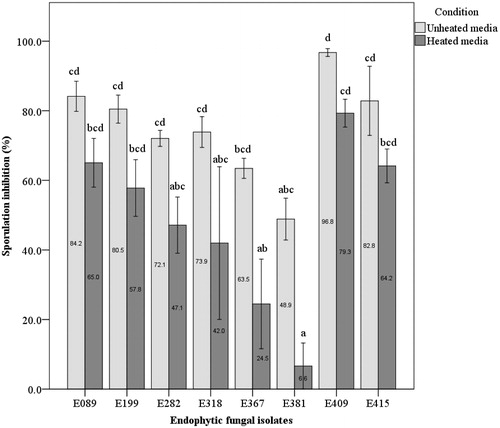 Figure 4. Sporulation inhibition rate (SI%) of endophytic fungal isolates against R. quercus-mongolicae in culture filtrate test at 12 days after inoculation (5 days in the dark at 25 °C and 7 days in room temperature condition). Different letters indicate a significant difference (p < 0.05) among treatments by Tukey’s HSD test.