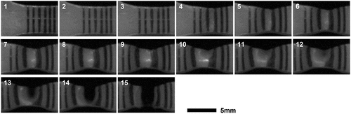 Figure 10. Deformation of PUC3 at high-speed rate tensile test at the temperature of – 40°C.