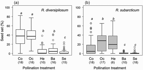 Figure 6. Results of the hand-pollination experiment conducted in 2018 at the Mt. Hisago site for (a) Rhododendron diversipilosum and (b) R. subarcticum. Seed set percentage in each treatment (Co: control, Oc: outcross pollination, He: heterospecific pollination, Ba: simple bagging, Se: self-pollination) is shown. Sample size of each treatment is shown within parentheses. Different characters indicate significant difference in each species among treatments (p < .05 by Tukey’s test).