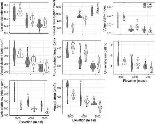 Figure 5. Violin plots with Bonferroni pairwise comparisons showing the differences in anatomical features of basal stems between the three elevation zones in LNP and SNP. Within three elevation zones in LNP and SNP, features that do not share the same alphabet have significantly different values (p < .05). See Supplements 5 and 6 for details of statistical analyses.