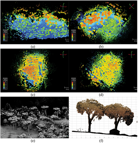 Figure 8. Georeferenced HMLS point clouds. (a) Test site #1; (b) Test site #2; (c) Test site #3; (d) Test site #4; (e) and (f) Sample 3D view of the HMLS point cloud and a detailed view of Stone Pine trees.