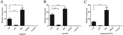 Figure 4. Effects of Cortex Mori on the expression of RT enzyme products at different stages. (A) Effects of Cortex Mori on the expression of total RT enzyme products. (B) Effects of Cortex Mori on the expression of late RT enzyme products. (C) Effects of Cortex Mori on the expression of integrated DNA enzyme products. CM group: DMSO, HIV, and Cortex Mori were added to the cells; AZT group: only AZT and DMSO were added to the cells; HIV group: only HIV and DMSO were added to the cells; DMSO group: only DMSO was added to the cells; control group: the cells did not receive any medicinal treatments. Data are expressed as the mean ± SEM. **p < 0.01, ***p < 0.001, ****p < 0.0001.