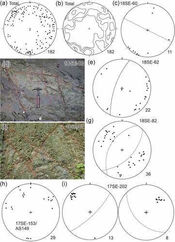 Figure 10. Lower hemisphere equal-area stereonets (number of poles to planes given at lower right for each stereonet) and photographs of joints in the Befoor Formation. (a) All joints/veins in the Manokwari area. (b) Contoured plot of (a) at 1, 2, 4 and 8% per 1% area. (c) Poles to joints (S0 25°/160°) at locality 18SE–60 with dominant east-southeast set of joints (0°46’4.21‘S, 133°58’37.50“E). Average orientation of the east-southeast joint set is 90°/206°. (d) Outcrop in the Pami River, same location as (c). (e) Outcrop in the Nuni River (locality 18SE–62, 0°46’12.8”S, 133°58’56.5’E). Average 76°/290°. (f) Road cutting in Befoor Formation showing 2 sets of joints/veins at locality 18SE–82 (0°55’36.968“S, 133°57’16.75“E). (g) Lower hemisphere equal-area stereonets of poles to veins from locality 18SE–82 (S0 not determined) with 2 average orientations (53°/301°, 61°/135°). (h) Locality 17SE–153/AS-149 (0°52’39.175“S, 134°2’45.688“E, S0 10°/220°) with several orientations of joints. (i) Poles to two joint sets at locality 17SE–202 (0°52’52.006“S, 134°2’41.992“E, S0 flat-lying), left average 77°/136°, right average 55°/226°.