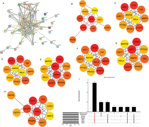 Figure 4 Identification of hub differentially expressed target genes. (A) PPI network of 42 differentially expressed target genes; (B) PPI network of top 10 node genes in Betweenness algorithm. The darker the color, the more important the gene. (C) PPI network of top 10 node genes in Closeness algorithm. The darker the color, the more important the gene. (D) PPI network of top 10 node genes in Degree algorithm. The darker the color, the more important the gene. (E) PPI network of top 10 node genes in Edge Percolated Component (EPC) algorithm. The darker the color, the more important the gene. (F) PPI network of top 10 node genes in Maximal Clique Centrality (MCC) algorithm. The darker the color, the more important the gene. (G) PPI network of top 10 node genes in Maximum Neighborhood Component (MNC) algorithm. The darker the color, the more important the gene. (H) PPI network of top 10 node genes in Stress algorithm. The darker the color, the more important the gene. (I) Screening of hub differentially expressed target genes.