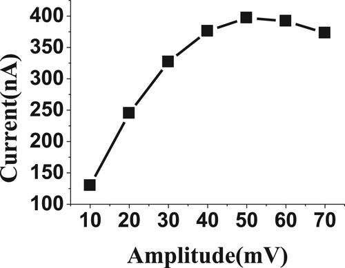 Figure 7. Effect of amplitude (mV) on reduction current for 20 µM of BDN in phosphate buffer pH 2.5, 0.0 V Eacc, 30 s tacc and 20 Hz.