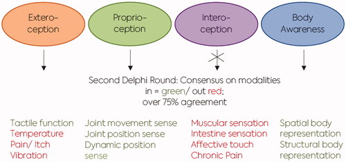 Figure 3. Summary of the results from the first and second Delphi rounds.Legend: Outcomes of the first and second rounds of identifying categories and modalities of somatosensory outcome measures of three categories and six modalities (green) reached consensus to be relevant for motor function. The modalities highlighted in red were excluded.