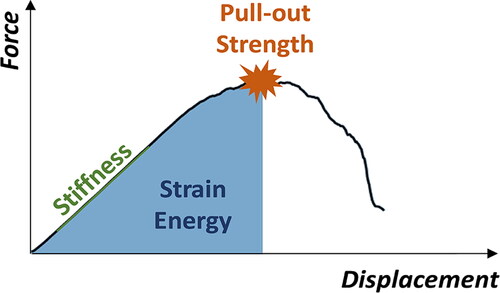 Figure 3. Characteristics of the screw’s displacement vs. pull-out force behavior used for the comparison of the optimized and standard screw positions. The first force peak of the curve with a drop of at least 30% was defined as pull-out strength value. The maximal steepness of the linear part of the curve before reaching the force peak was defined as pull-out stiffness, and the area under the curve until the pull-out force was reached was the strain energy.