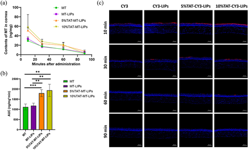 Figure 5 The effects of TAT modification on the retention of drugs in the cornea. (a) The changes of MT contents in the cornea, and (b) the calculated area under the curve (AUCs). ** p<0.01, *** p<0.001. (c) CY3 probe indicates the time-dependent distribution of the liposomes in the cornea. Scale bar=50 μm.