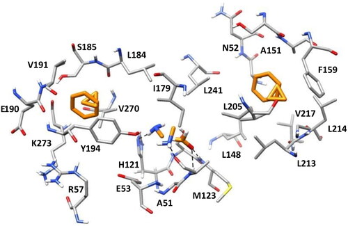Figure 3. The most populated clusters identified for each probe fragment studied are shown in orange: two for benzene, cyclopropane, and methylamine and one for formaldehyde. The protein residues surrounding the ligands are shown in gray. Probes-protein hydrogen bonds are highlighted with black dashed lines.