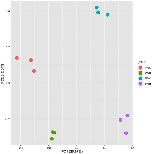 Figure 1. Principal component analysis showing PC1 against PC2 of all twelve samples comprising 4 experimental groups: 4-week-old control (4WC, n = 3), 4-week-old high temperature (4WH, n = 3), 6-week-old control (6WC, n = 3), and 6-week-old high temperature (6WH, n = 3).