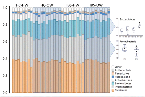 Figure 5. Richness profiles of the top 10 richest phyla in the oral mucosa of IBS-bodyweight categories. Individuals are represented along the horizontal axis and the relative richness of phyla (expressed as a % of total richness) are on the vertical axis. Healthy weight participants (HC-HW: n = 8, IBS-HW: n = 9) are grouped in the unshaded areas and overweight participants (HC-OW: n = 11, IBS-OW: n = 10) are grouped in the shaded boxes. Differences in richness for selected phyla are presented in the box (25th to 75th percentile) and whisker (non-outlier range) plot. Significantly different groups are indicated with an asterisk*. HW = Healthy Weight, OW = Overweight, HC = Healthy Control