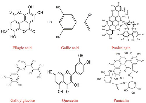 Figure 1. Chemical structures of major bioactive compounds of pomegranate seed