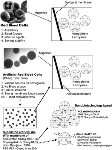 Figure 2 Evolution of artificial red blood cell into nanobiotechnology of rbc substitutes.