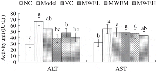 Figure 2. Effect of Momordica charantia water extract on the serum ALT and AST activities in the restraint-stressed mice. Values are expressed as the mean ± SD (n = 10). Different letters for the same index represent significant differences at p < .05. NC, normal control; Model, restraint stress model; VC, restraint-stressed mice treated with vitamin C 250 mg/kg bw; MWEL, restraint-stressed mice treated with M. charantia water extract 250 mg/kg bw; MWEM, restraint-stressed mice treated with M. charantia water extract 500 mg/kg bw; MWEH, restraint-stressed mice treated with M. charantia water extract 750 mg/kg bw.