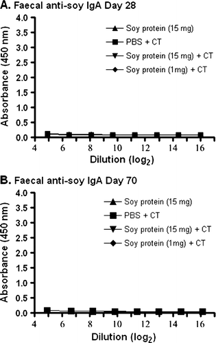 Figure 2.  Detection of IgA anti-soy protein antibodies in fecal material. Groups of mice were gavaged with 10 µg of CT in PBS (N=4), soybean seed extract containing 15 mg of total soluble protein in PBS (N=4), or soybean seed extract containing 15 mg (N=5) or 1 mg (N=6) of total soluble protein with CT in PBS on days 0, 14, 28, 42 and 56. Faecal IgA anti-soy protein antibody reactivity was determined by ELISA at day 28 (A) or day 70 (B) at the indicated serial dilution of faecal material. Results are presented as mean absorbance values for each group of animals. Standard deviations were always less than 5% of mean values.