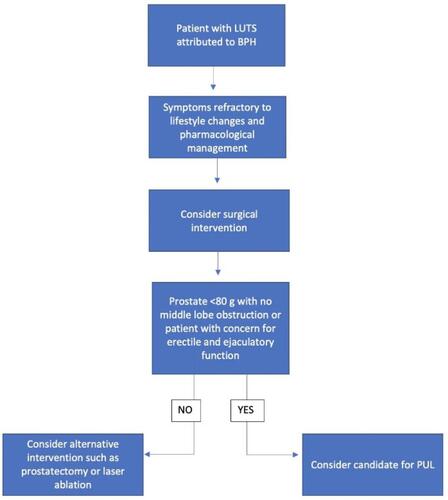 Figure 1 Suggested pathway to PUL for patients with LUTS secondary to BPH.