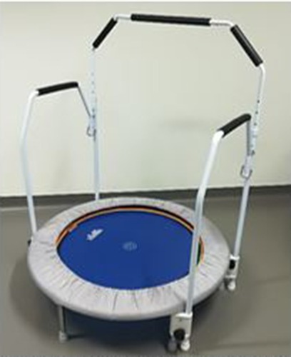 Figure 2 The used mini-trampoline in the training intervention program.