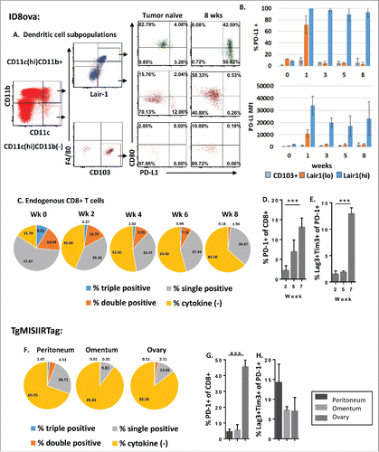 Figure 4. Acquired expression of PD-L1 by Lair1(hi) DCs is associated with progressive T cell dysfunction in the tumor environment. (A, B) Peritoneal DCs were analyzed for PD-L1 and CD80 expression. (A) Representative dot plots of PD-L1 and CD80 expression by peritoneal DC subsets collected from tumor-naive controls or from mice 8 weeks after tumor challenge. (B) Percent of PD-L1+ cells (top) and PD-L1 expression by MFI (bottom) for each DC subset is shown at weekly intervals (n = 2–3 mice/time point). (C–E) T cells recovered from the peritoneal cavity of healthy or ID8ova tumor-bearing mice at weekly intervals were analyzed by flow cytometry. (C) Intracellular staining for IFNγ, IL-2 and TNF-a production by peritoneal CD8+ T cells following treatment with cell stimulation cocktail. (n = 5/group; week 0 vs. week 8 cytokine (−) CD8+ T cells: p = 0.00002) (D) PD-1 expression by peritoneal CD8+ T cells 2, 5 and 7 weeks after ID8ova tumor challenge. (E) CD8+PD-1+ T cells analyzed for co-expression of Lag-3 and Tim-3. (F–H) Analysis of T cells the peritoneum, omentum, or ovary of TgMISIIRTag mice at 14 weeks of age (n = 3). (F) Cytokine production by CD8+ T cells as in (C). (G) PD-1 expression by CD8+ T cells. (H) CD8+PD-1+ T cells analyzed for Lag-3 and Tim-3 co-expression. All comparisons by two-way ANOVA, ***p < 0.0005.