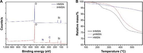 Figure 4 X-ray photoelectron spectra (A) and thermogravimetric analysis curves (B) for HMSN, tHMSN, or pHMSN.Abbreviations: HMSN, hollow mesoporous silica nanoparticles; tHMSN, tLyp-1 and polyethylene glycol co-modified HMSN; pHMSN, polyethylene glycol-modified HMSN.