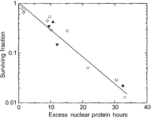 Figure 5. Nuclear Matrix as a Target for Cell Killing. Cell survival after heat shock is plotted as a function of excess nuclear protein hours for various heating conditions, including normal and thermotolerant cells and the presence of sensitizers (ethanol and procaine) or protectors (glycerol). Each symbol represents a different treatment. Excess nuclear protein hours is calculated by summing the amount of protein coisolating with the nucleus (above control amounts) times the time (in hours) that there is an excess. Reprinted from 8 originally published in 17.