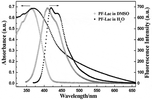 Figure 3. UV–vis absorption and fluorescence spectra of polymer PF-Lac in DMSO and water.
