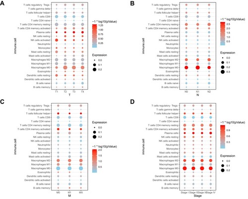 Figure 2 Correlation analysis between TNM&Stage and 22 TIICs in 369 colon cancer cases. (A) Correlation analysis between tumor stage and 22 TIICs expression in 369 colon cancer cases. (B) Correlation analysis between node stage and 22 TIICs expression in 369 colon cancer cases. (C) Correlation analysis between metastasis stage and 22 TIICs expression in 369 colon cancer cases. (D) Correlation analysis between pathologic stage and 22 TIICs expression in 369 colon cancer cases.