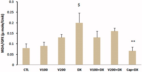 Figure 5. MDA/GPX ratio in different animal groups. n = 6–8. Values are mean ± SEM. CTL: control; W100: animal group which received 100 mg/kg/d of walnut extract; W200: animal group which received 200 mg/kg/d of walnut kernel extract; DX: animal group which received dexamethasone 0.03 mg/kg/d; W100 + DX: animal group which received 100 mg/kg/d walnut extract + dexamethasone; W200 + DX: animal group which received 200 mg/kg/d walnut extract + dexamethasone; Cap + DX: animal group which received 25 mg/kg/d captopril + dexamethasone. $p < 0.05 vs. CTL group, **p < 0.01 vs. DX group.