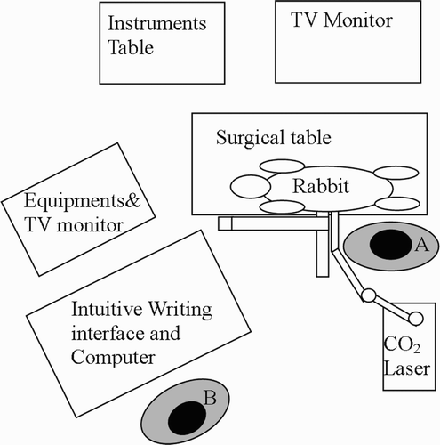 Figure 3. Overhead view of the arrangement of the animal model experiment. Surgeon A manipulated two tweezers to position the kidney and Surgeon B used the IWI to perform laser cutting.