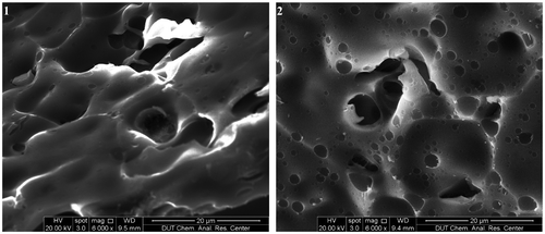 Figure 4. SEM images of SiC Ceramic cross section sintered form polycarbosilane oligomers 1 and 2.