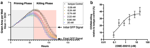 Figure 6. 23ME-00610 Enhances PBMC-Mediated Tumor-Cell Killing.Killing of a tumor cell line that endogenously expresses CD200, COV-644-GFP, by PBMCs was evaluated upon treatment with 23ME-00610 or isotype control. a) CD200R1+ PBMCs were primed with SEB and treated with a titration of 23ME-00610. COV644-GFP cells were co-cultured with PBMCs for 120 hours and GFP signal was monitored as a readout of tumor-cell number. Tumor-cell killing was observed as a decrease in total GFP signal at the end of the experiment relative to the GFP signal observed at the beginning of the experiment. The change in GFP signal over time relative to isotype, in the killing phase, was used to calculate the EC50. b) A representative dose-response curve of tumor-cell killing relative to isotype control; data are represented as the mean ± standard error (N = 4 replicates for each concentration) using PBMCs from one donor.