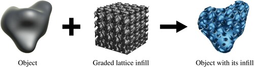 Figure 1. ASLI can assign functionally graded lattice infills to randomly shaped 3D objects.